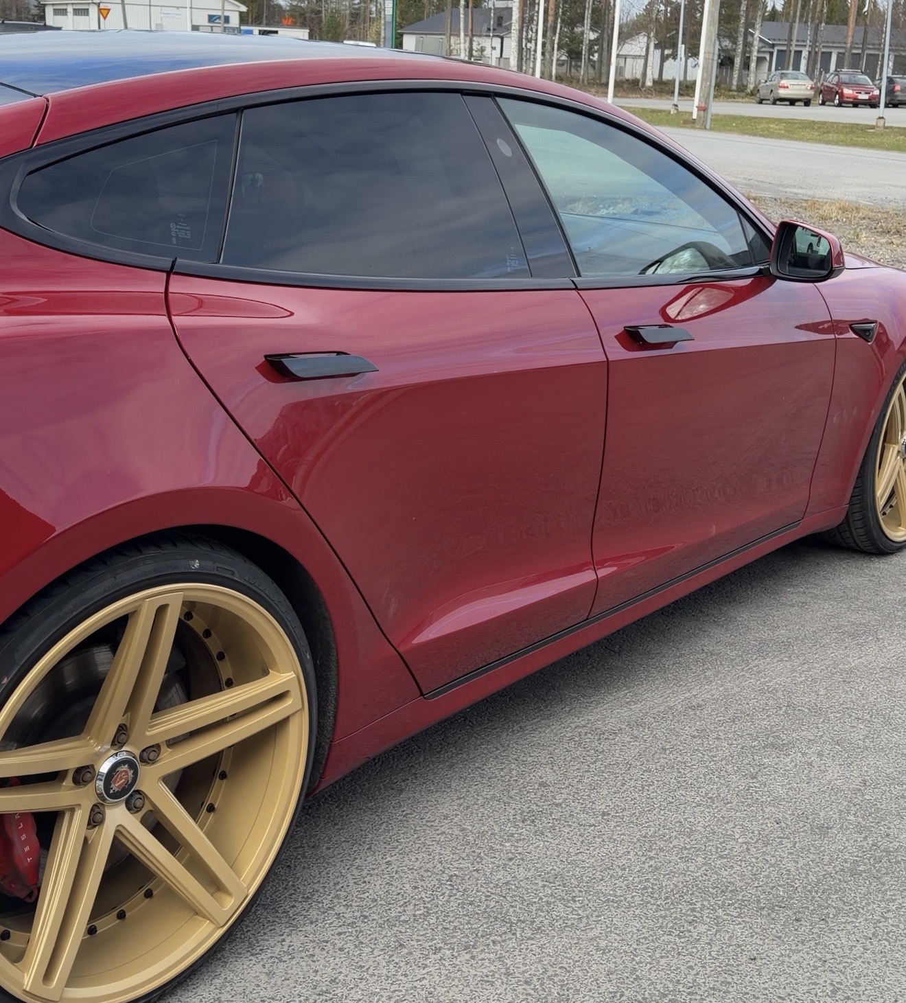 Tesla Model S Full chrome delete